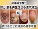 ポメロ(POMELO)の写真
