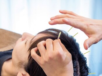 あおぞら整骨院 蒔田院の写真/肩こり・腰痛・神経系のお悩みに徹底アプローチ！血液や体の内部、筋肉まで幅広く対応できます♪