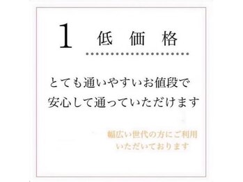 ホワイトニングショップ 西尾店/ホワイトニングのポイント 1