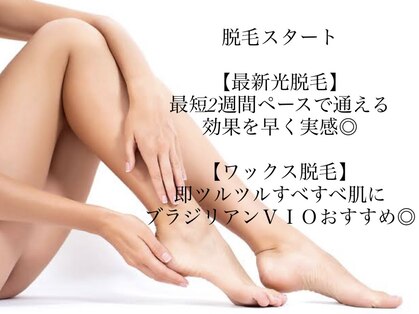 ティアラ(Tiara)の写真