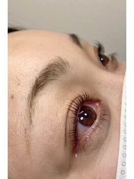 シスタス(Cistus)/ラッシュリフト