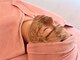 ナルムフェイシャル 代々木(NARUM facial)の写真