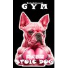 ストイックドッグ エンターテインメントジム(Stoic Dog Entertainment GYM)ロゴ