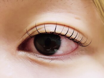 コロル(COLOR)/まつげパーマ