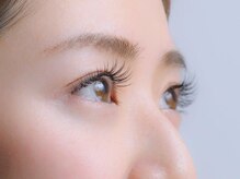 ラビット(Lovit)/リペア　100本