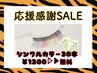 応援感謝SALE★《カラーシングルラッシュ30本★オプション無料》早いもの勝ち