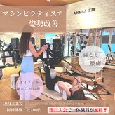 アネラフィット(ANELA Fit)