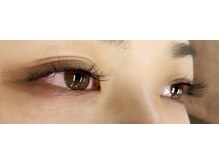 シルフ 石橋店(Sylph)/3D、カシミヤ 100本