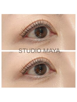 スタジオ マヤ(STUDIO MAYA)/アイラッシュリフト
