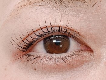 トゥインクル(Twinkle)/まつ毛パーマ