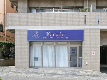 カナデ(Kanade)の写真