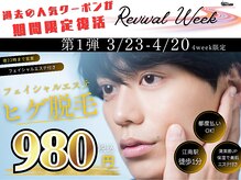 アミティベリッシモ(amity bellissimo)