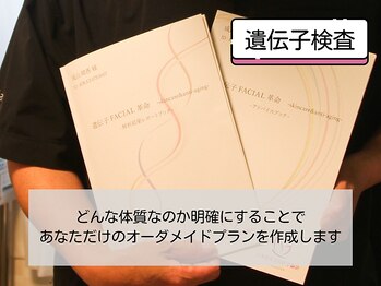 ハルノイエ(Halnoie)/