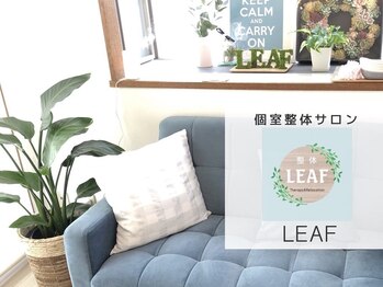 整体リーフ(LEAF)/綺麗なソファで寛げます