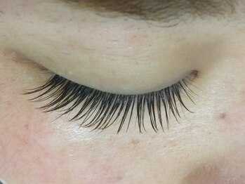 シュシュ(chou chou)/フルカーキブラウン160本