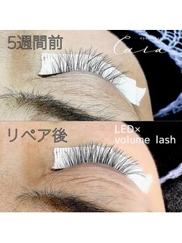 カーラ(CARA)/岡山 下中野 LEDエクステ