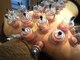フェルヴィータ(Felvita)の写真/【人気No.1 かっさ＋カッピング　肩こり解消デトックスコース120分¥13,200】肩や背中のお悩みにオススメ！