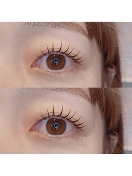 カセッタ アイラッシュ(Casetta eyelash)/eye perm × flat 120 lashes