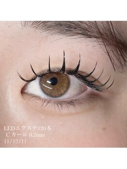 ウルム 川越店(Ulum)/LEDエクステ