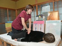 スター(STAR)の雰囲気（全体の骨格や筋肉のバランスをみてアプローチ！#骨盤矯正四日市）