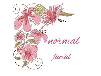 ビューティースパ/ノーマルフェイシャル