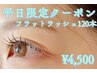 【平日限定】フラットラッシュ120本