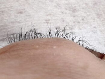 アイラッシュ バイ ポジャ(EYELASH by Poja)/