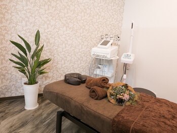 ルセヴィア(LUCEVIA)