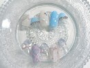 ワンホン定額7200円☆