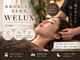 ウェルクス(welux)の写真