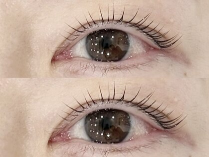 エルブリンク(elblink)の写真