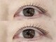 エルブリンク(elblink)の写真