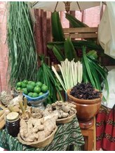 ネスト(nest)/ベースハーブ