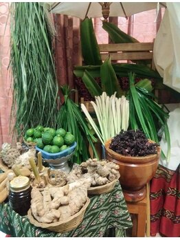 ネスト(nest)/ベースハーブ