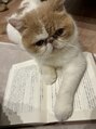 ルモ アイデザイン(lumo eyedesign) うちのねこ