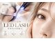 ブラン JR六甲道店(Eyelash Salon Blanc)の写真/ナチュラルデザイン大人気サロンで叶う！NEW LED LASH次世代の持続力
