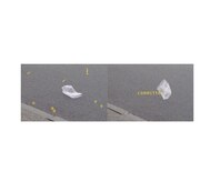 コミッティ(committee)