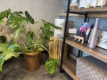 エット(ett)の写真/【2回目以降も同じ価格♪】脱毛卒業のタイミングも相談出来る光脱毛＆WAX脱毛サロン平尾徒歩3分★