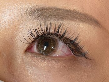 ウルカ アイラッシュ(uruka EYELASH)/フラットラッシュ　160本