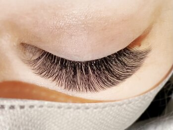 バタフライジュエル 本店(ButterflyJewel)/4Dボリュームラッシュ