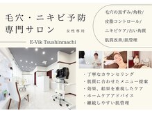 イーヴィック ツシンマチ(E-Vik Tsushinmachi)