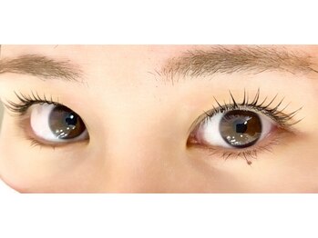 カルム 妙蓮寺(CALME)/