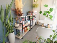 クオーレ(cuore)の雰囲気（優しい光と観葉植物に包まれた、ほっと落ち着く空間）