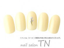 ティーエヌ 文苑堂TSUTAYA小杉町店/9月季節の定額3900円コ―ス