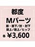 Mパーツ（膝と膝下/肘と肘下/膝上/肘上/ヒップ）各¥3,600