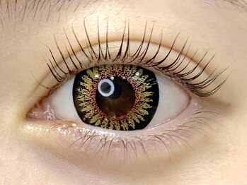 シルズ 神戸ウエスト店(cils)の写真/「傷んで抜けやすい」「ボリュームが出ない」「下向きまつ毛」etc.まつ毛のあらゆる悩み、ご相談下さい♪