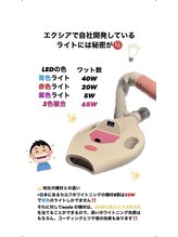 エクシアホワイトニング 札幌中島公園店/豆知識［ホワイトニング］