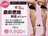 8月までの価格【平日限定】本気の痩身・脂肪燃焼特化コース   90分¥9900