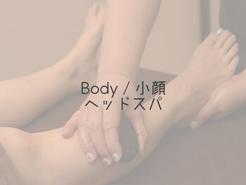 ティディーネスト(Tidynest)/Bodyメニュー