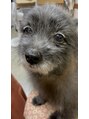 ケアダリア(kea’Dahlia) 名前は【ベンジー】です♪ 我が家でNO.1のマイペースさんw